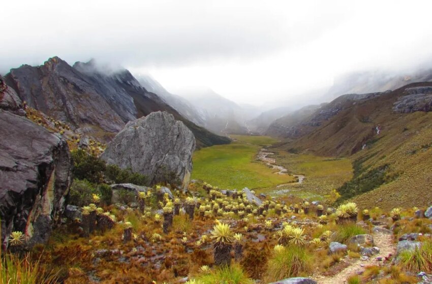  Captan en imágenes cómo una mina ilegal de oro destruyó parte del páramo de Santurbán
