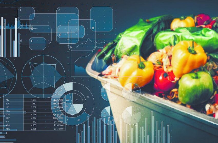  Desperdicio de alimentos agrava crisis ambiental – El Economista