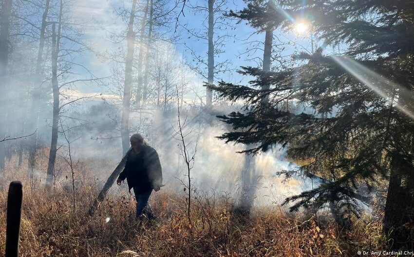  Incendios forestales: lo que funciona para prevenirlos – DW.com