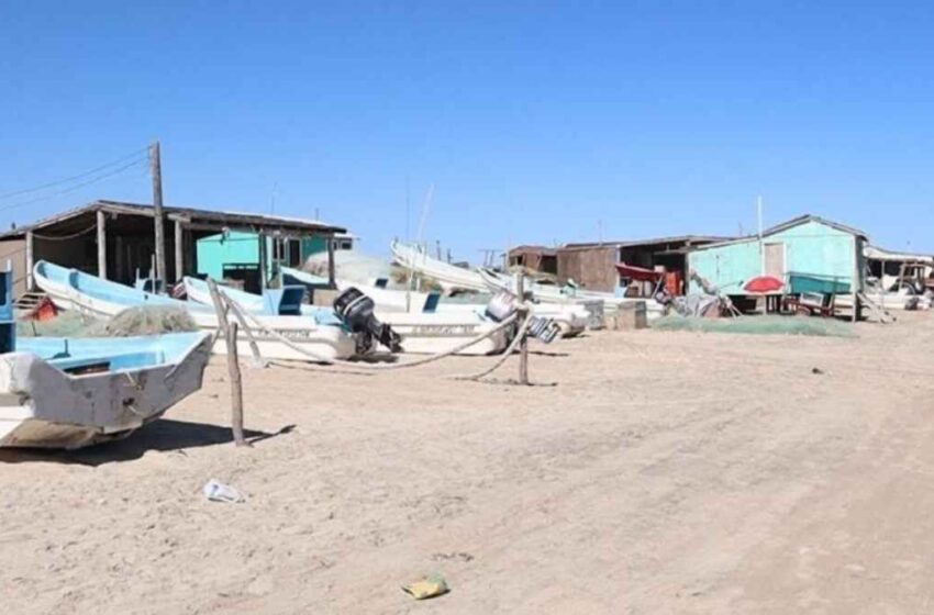 Altas temperaturas afectan captura de camarón y jaiba en Matamoros, Tamaulipas