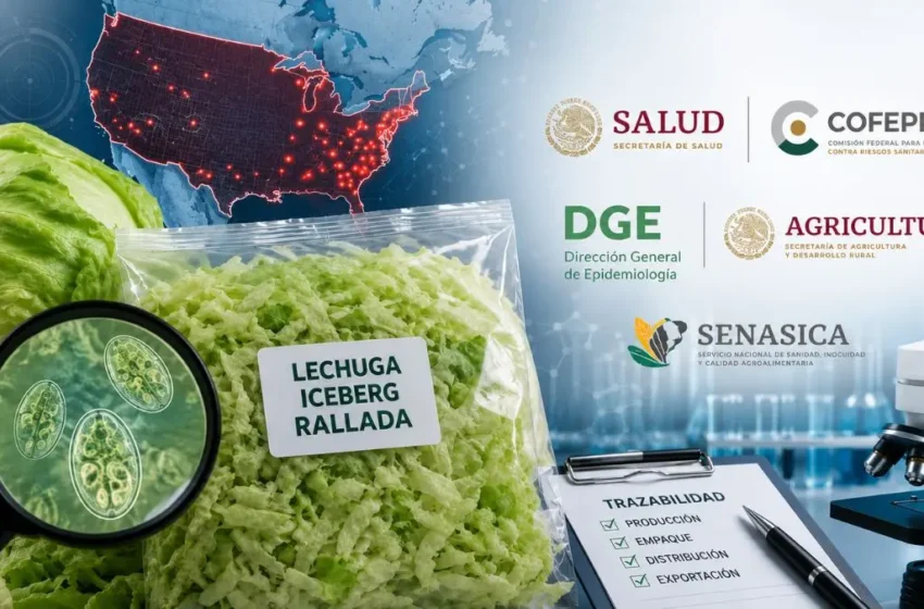  Brote de ciclosporiasis en Estados Unidos activa investigación sanitaria sobre la cadena de lechuga