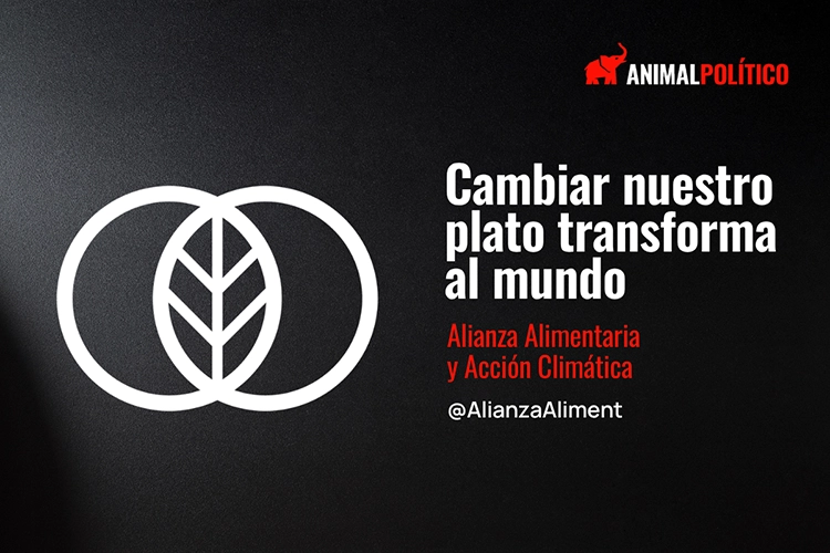  ¿Comer mejor depende solo de nosotros? – Animal Político
