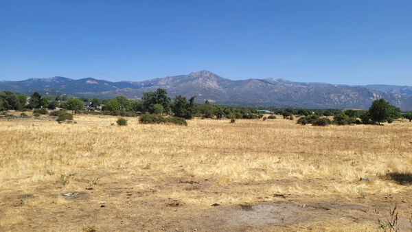  Convenio para reforestar con 250 fresnos la Dehesa – Ayuntamiento de Moralzarzal