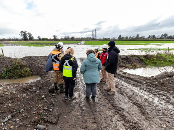  Visita inspectiva responde a preocupación ciudadana por humedal de Chillán Viejo – MMA