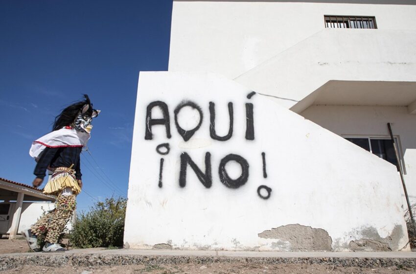  Greenpeace México rechaza megaplanta de amoniaco en Topolobampo; exige frenar su …