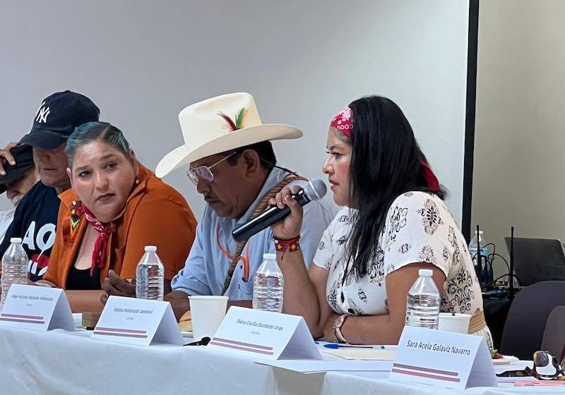  Preocupa planta de amoniaco por su impacto en la pesca – La Capital