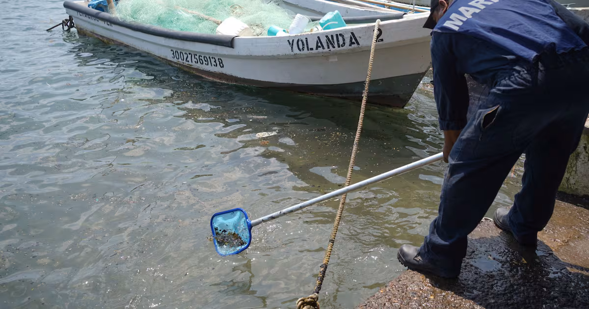  Pescadores tramitan amparo por derrame de hidrocarburos en el Golfo – Nación321