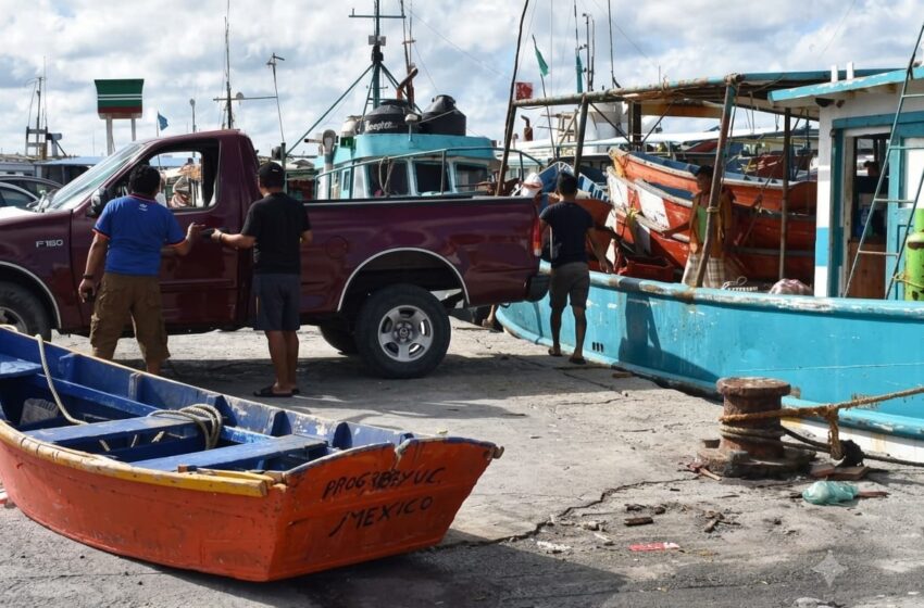  Van por más de 32 mil toneladas de pulpo
