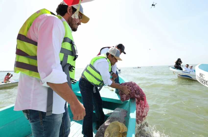  Reviven lagunas con repoblación de ostiones; se han sembrado 4 millones – Quadratín