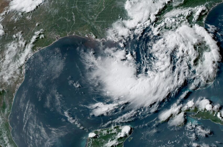  La tormenta tropical Fausto se forma en el Pacífico mexicano y podría ganar fuerza