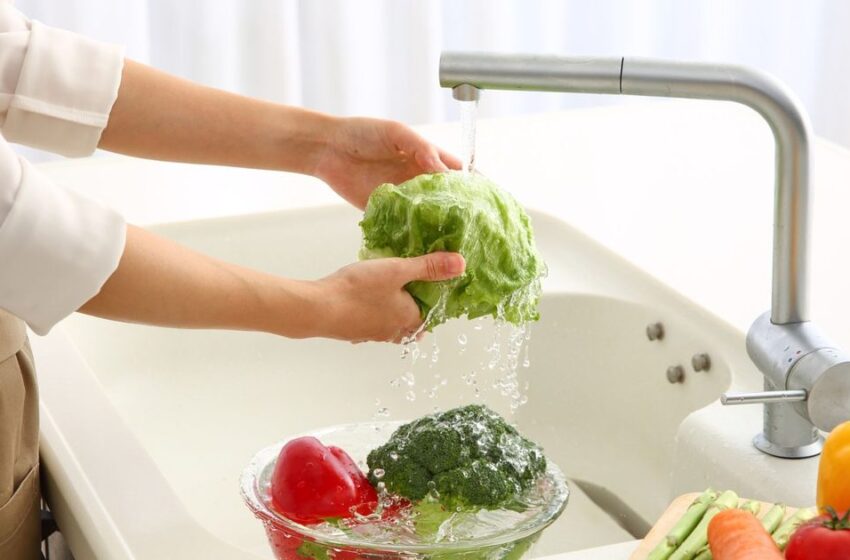  Cómo lavar la lechuga correctamente para reducir el riesgo de Cyclospora y otras infecciones