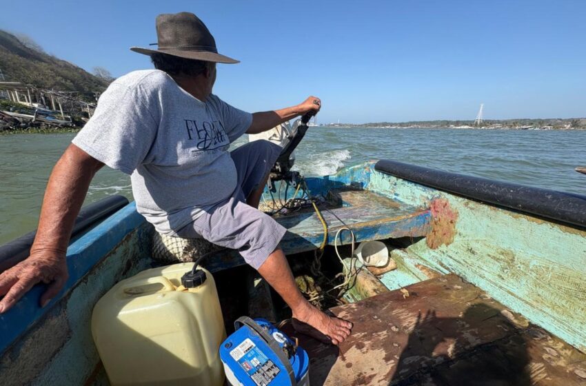  Advierten que hay un 30% de pescadores ilegales en Veracruz | El Dictamen