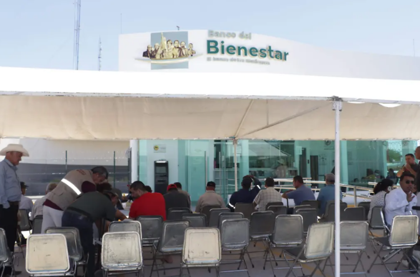  Alerta Secretaría de Bienestar en Sonora sobre noticias falsas durante la dispersión de apoyos