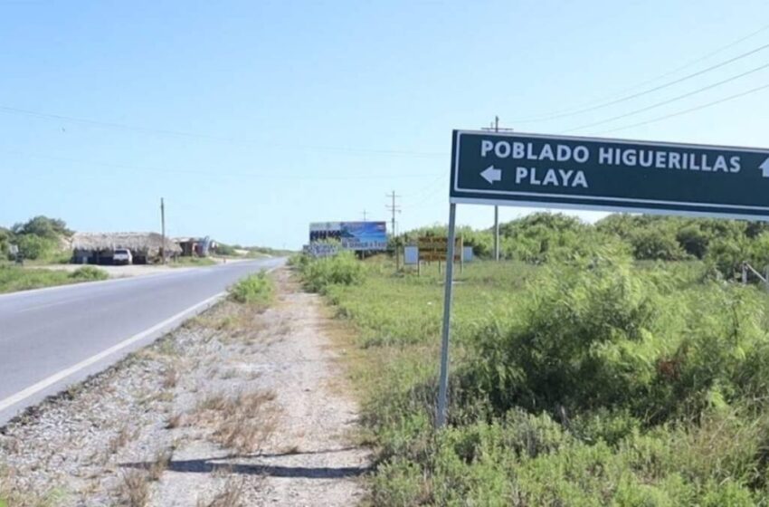  Reanudan captura de camarón en Matamoros, Tamaulipas, tras concluir la veda