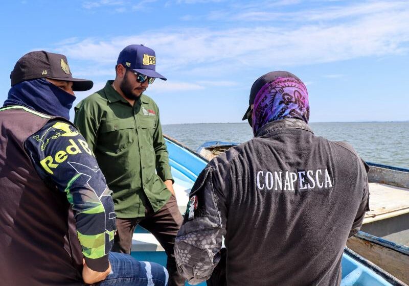  Destinan 15 millones de pesos a vigilancia pesquera en Sinaloa – Meganoticias