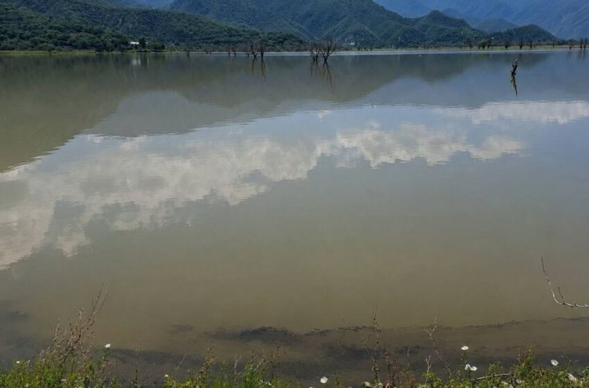  Piden no pescar en laguna de Metztitlán; peces podrían contener diésel y aceites