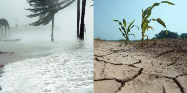  ¿Cómo afectará el fenómeno "El Niño" muy fuerte a México?
