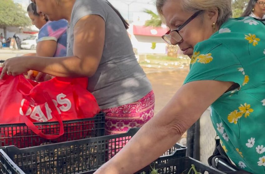  ¿Necesitas apoyo con alimentos? Banco de Alimentos de Hermosillo llevará despensas y …