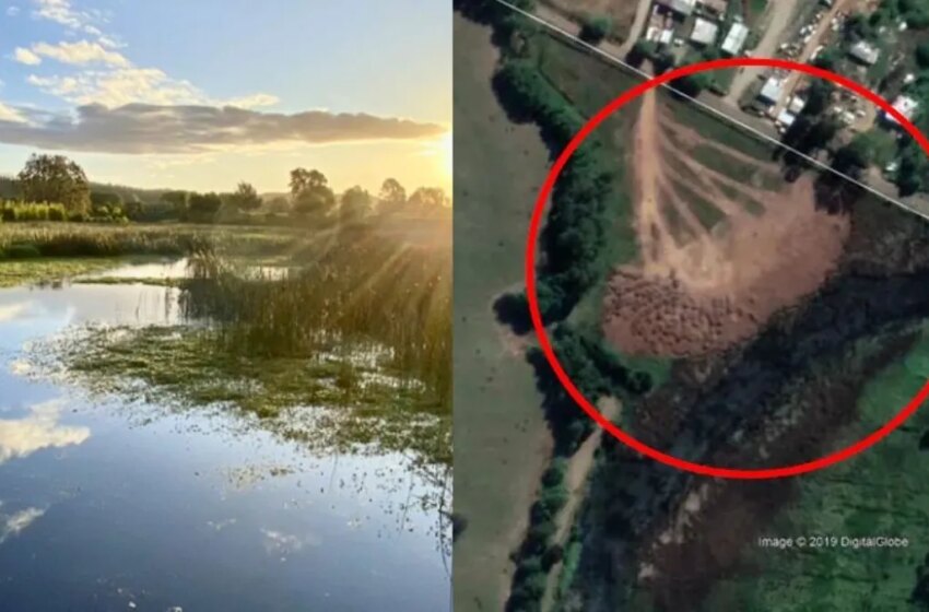  Corte confirma que hombre que rellenó parte del humedal Angachilla en Valdivia deberá …