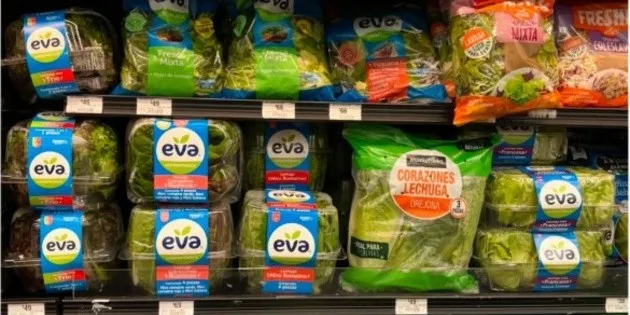  Lechuga señalada como presunta causa de la 'diarrea explosiva' no se vende en …