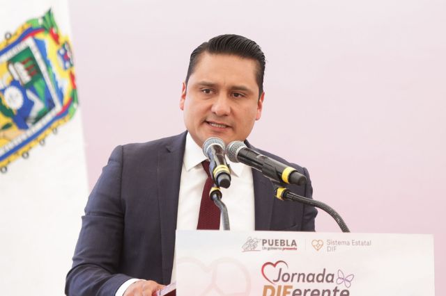 Medio Ambiente señala a Movilidad por derribo de árboles en Bosques | e-consulta.com