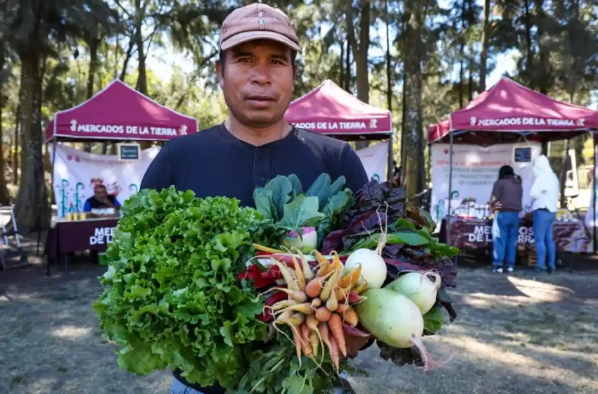  ¿Buscas alimentos frescos? Todo sobre los Mercados de la Tierra y dónde encontrarlos en CDMX
