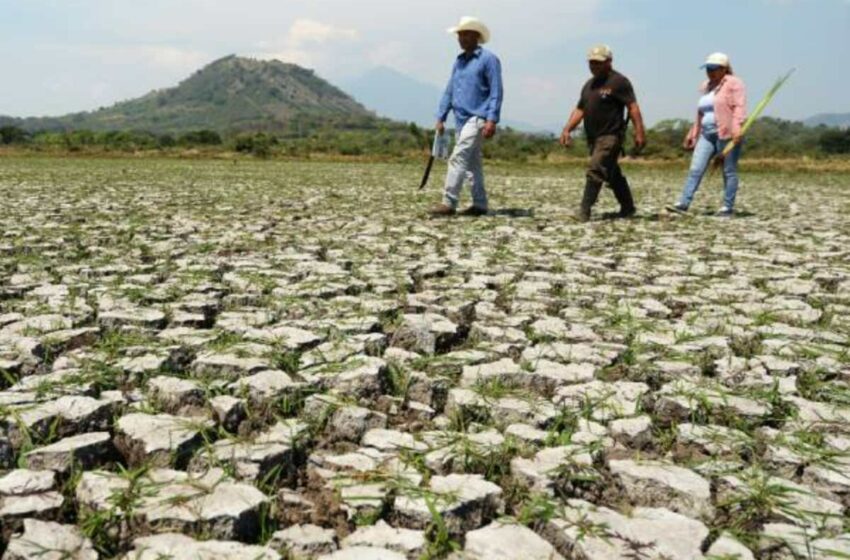  Medio Ambiente prevé 16 días consecutivos de sequía en el oriente de El Salvador