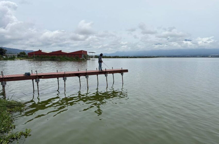  Laguna de Zapotlán mantiene la pesca en el sur de Jalisco- Grupo Milenio