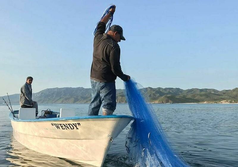  Pesca y acuacultura de Baja California Sur enfrentan rezago, advierten especialistas