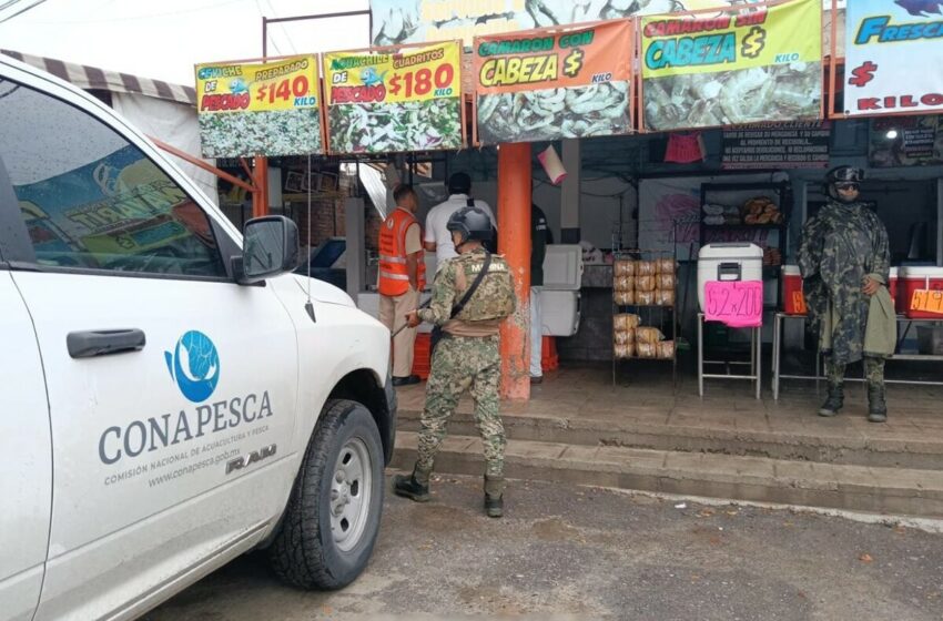  Retienen más de tres toneladas de producto pesquero en Puerto Vallarta- Grupo Milenio