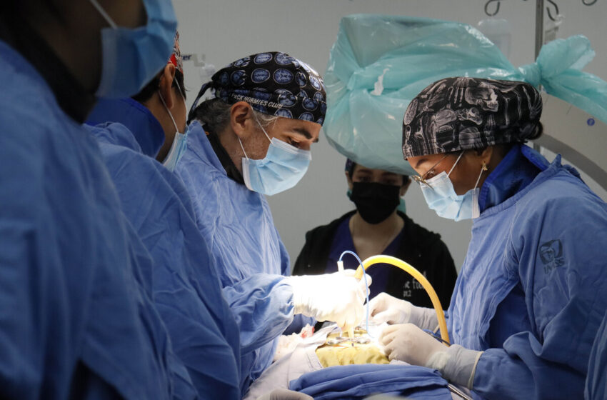  IMSS Sonora y Sinaloa realizan exitosas cirugías de columna – Telediario México