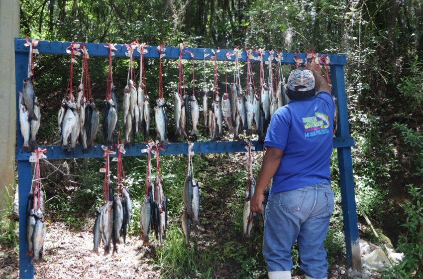 Huasca abraza la inclusión en el Nacional de Pesca de Trucha – News Hidalgo