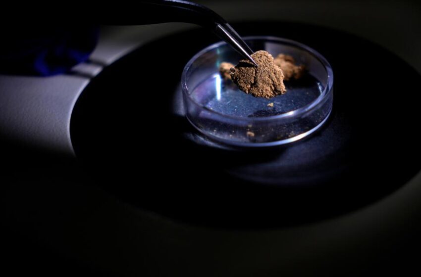  Brasil usa la ciencia forense para rastrear el origen del oro y frenar la minería ilegal en Amazonía